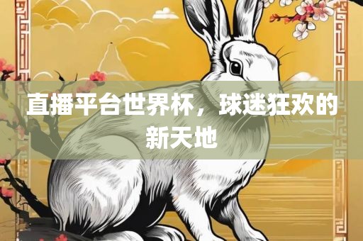 直播平台世界杯，球迷狂欢的新天地