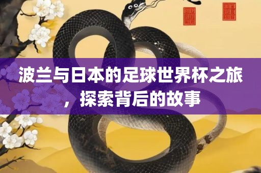 波兰与日本的足球世界杯之旅，探索背后的故事