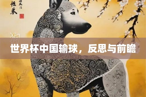 世界杯中国输球，反思与前瞻