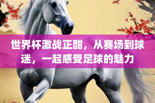 世界杯激战正酣，从赛场到球迷，一起感受足球的魅力