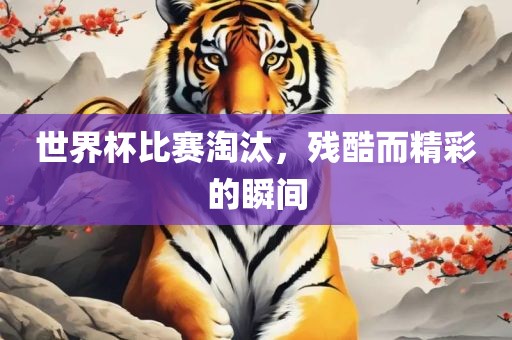 世界杯比赛淘汰，残酷而精彩的瞬间