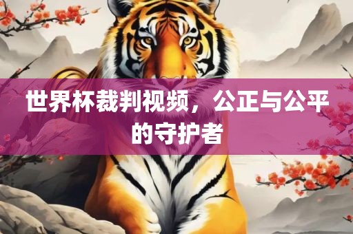 世界杯裁判视频，公正与公平的守护者