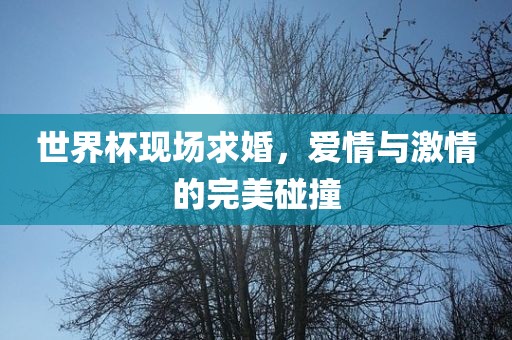 世界杯现场求婚，爱情与激情的完美碰撞