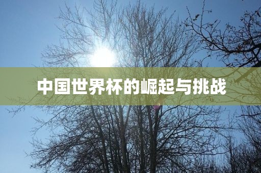 中国世界杯的崛起与挑战