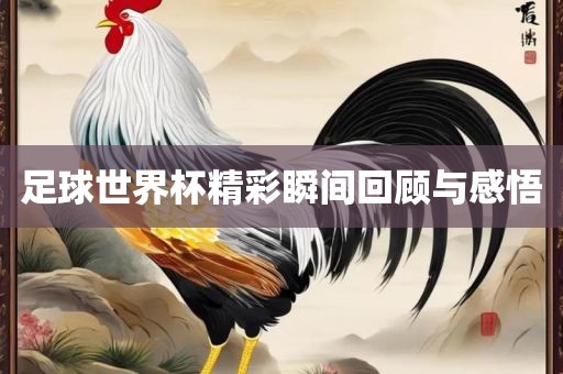 足球世界杯精彩瞬间回顾与感悟