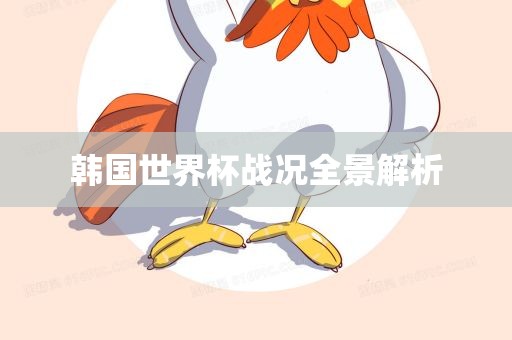 韩国世界杯战况全景解析