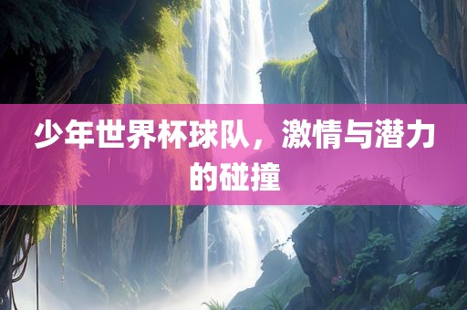 少年世界杯球队，激情与潜力的碰撞