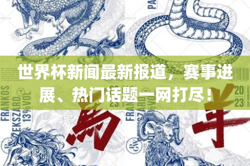 世界杯新闻最新报道，赛事进展、热门话题一网打尽！