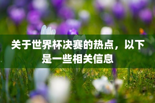 关于世界杯决赛的热点，以下是一些相关信息