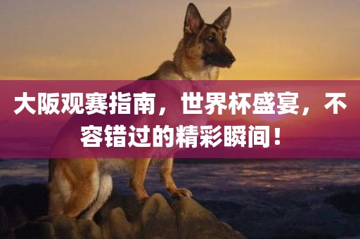 大阪观赛指南，世界杯盛宴，不容错过的精彩瞬间！