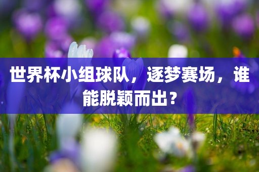 世界杯小组球队，逐梦赛场，谁能脱颖而出？