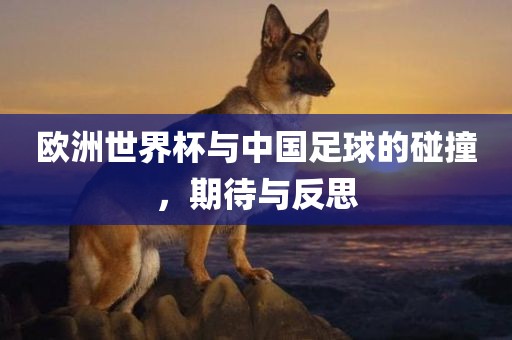 欧洲世界杯与中国足球的碰撞，期待与反思