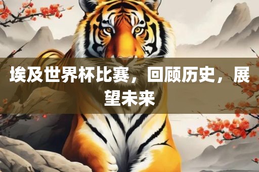 埃及世界杯比赛，回顾历史，展望未来