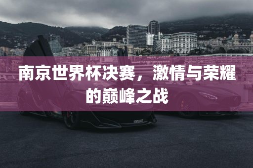 南京世界杯决赛，激情与荣耀的巅峰之战