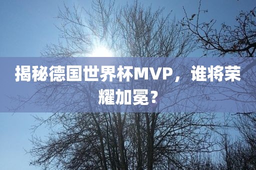揭秘德国世界杯MVP，谁将荣耀加冕？