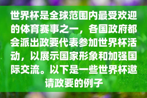世界杯是全球范围内最受欢迎的体育赛事之一，各国政府都会派出政要代表参加世界杯活动，以展示国家形象和加强国际交流。以下是一些世界杯邀请政要的例子