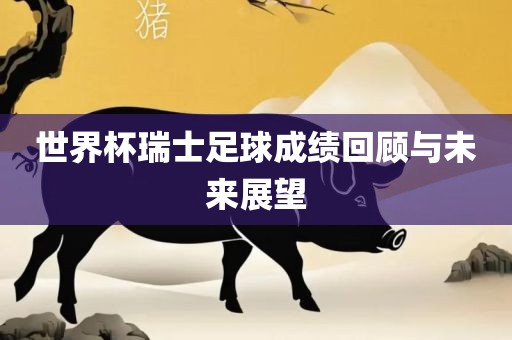 世界杯瑞士足球成绩回顾与未来展望