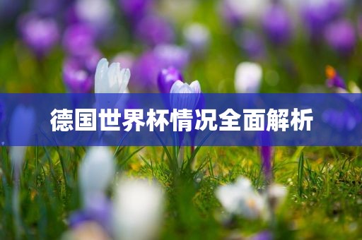 德国世界杯情况全面解析