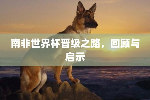 南非世界杯晋级之路，回顾与启示