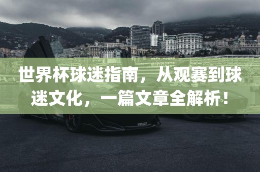 世界杯球迷指南，从观赛到球迷文化，一篇文章全解析！
