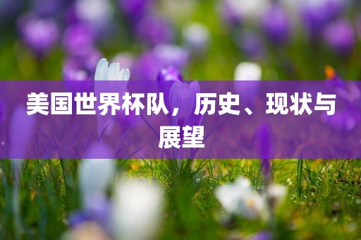 美国世界杯队，历史、现状与展望