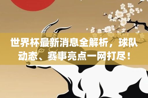 世界杯最新消息全解析，球队动态、赛事亮点一网打尽！