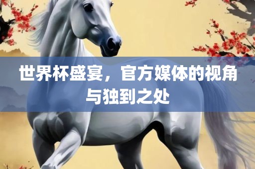 世界杯盛宴，官方媒体的视角与独到之处