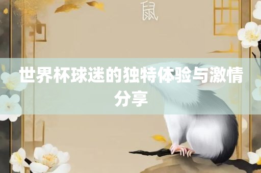 世界杯球迷的独特体验与激情分享