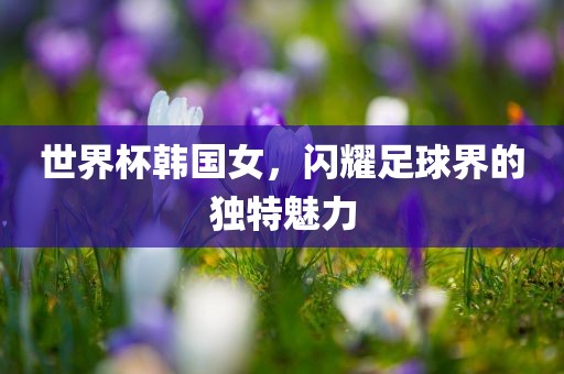 世界杯韩国女，闪耀足球界的独特魅力