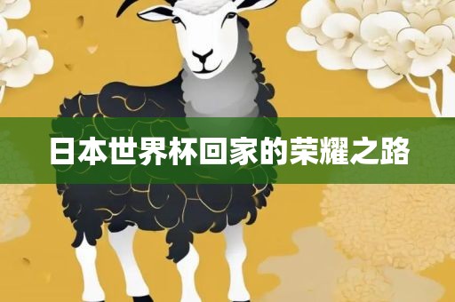 日本世界杯回家的荣耀之路