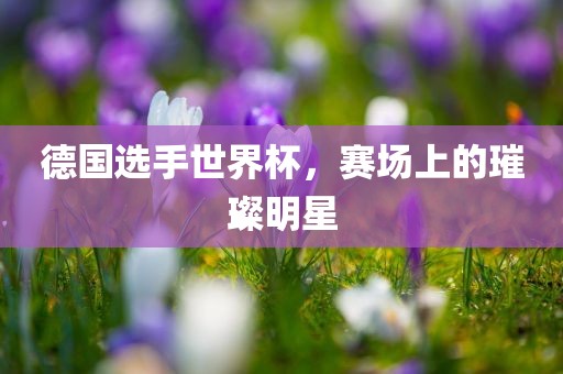 德国选手世界杯，赛场上的璀璨明星