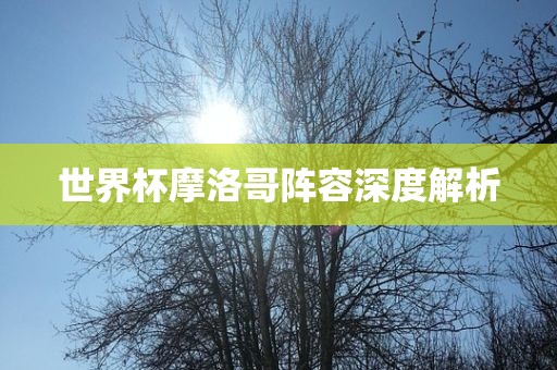 世界杯摩洛哥阵容深度解析