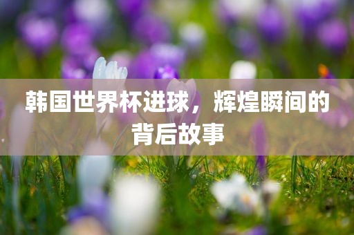 韩国世界杯进球，辉煌瞬间的背后故事