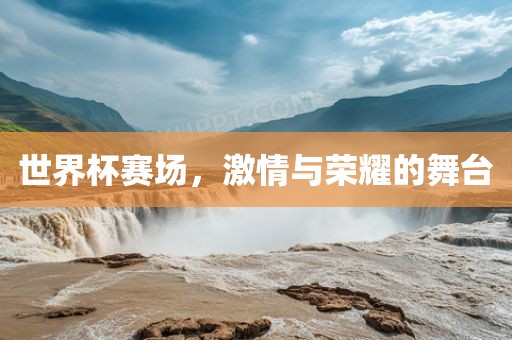 世界杯赛场，激情与荣耀的舞台
