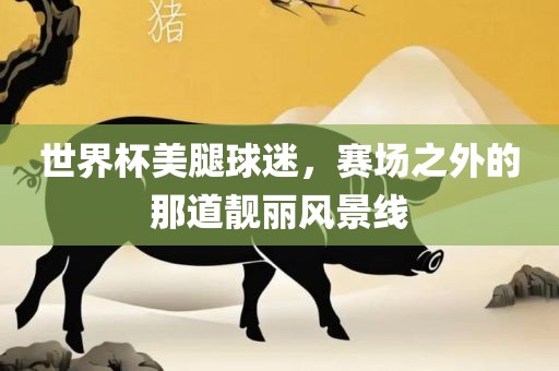世界杯美腿球迷，赛场之外的那道靓丽风景线