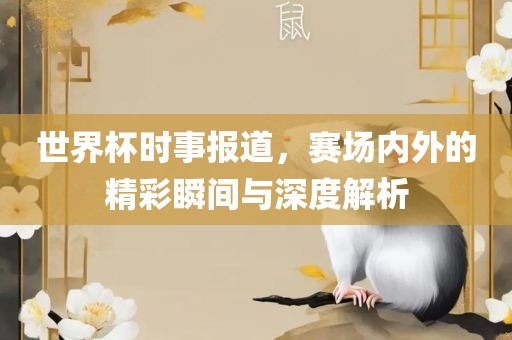 世界杯时事报道，赛场内外的精彩瞬间与深度解析