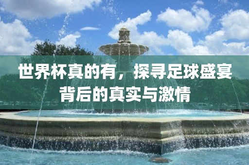 世界杯真的有，探寻足球盛宴背后的真实与激情