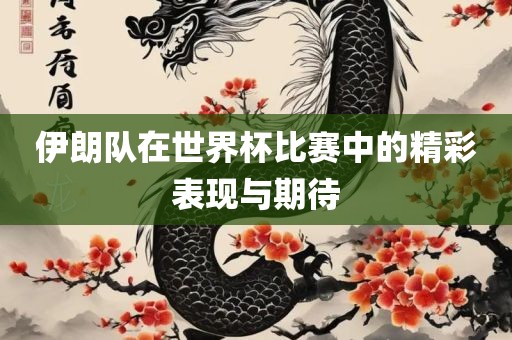 伊朗队在世界杯比赛中的精彩表现与期待