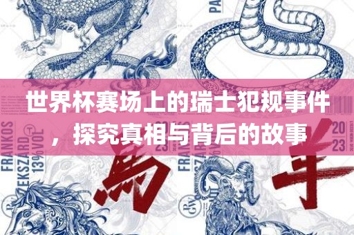 世界杯赛场上的瑞士犯规事件，探究真相与背后的故事