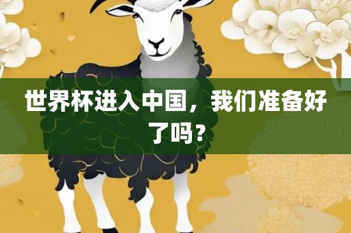 世界杯进入中国，我们准备好了吗？