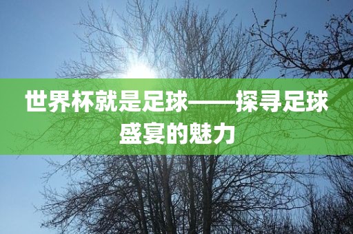 世界杯就是足球——探寻足球盛宴的魅力