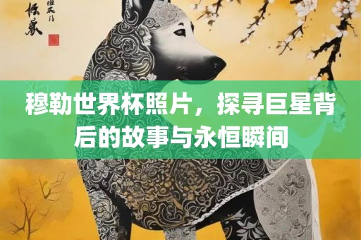 穆勒世界杯照片，探寻巨星背后的故事与永恒瞬间