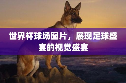 世界杯球场图片，展现足球盛宴的视觉盛宴