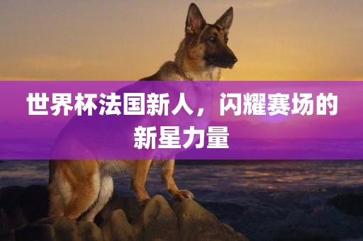 世界杯法国新人，闪耀赛场的新星力量