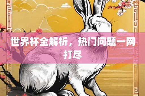 世界杯全解析，热门问题一网打尽