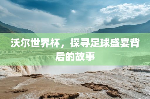 沃尔世界杯，探寻足球盛宴背后的故事