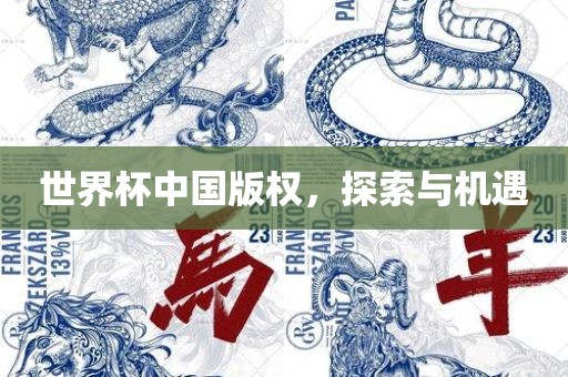 世界杯中国版权，探索与机遇