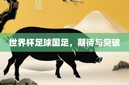 世界杯足球国足，期待与突破