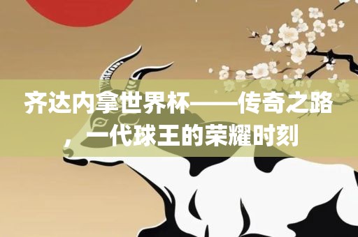 齐达内拿世界杯——传奇之路，一代球王的荣耀时刻