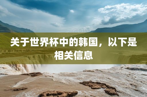 关于世界杯中的韩国，以下是相关信洛阳市法福文化传播有限公司息